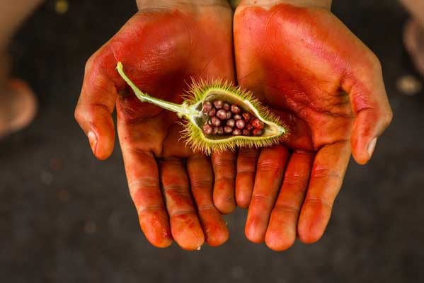 Amazon-Rainforest-Indigenous Amazon-Rainforest-Indigenous