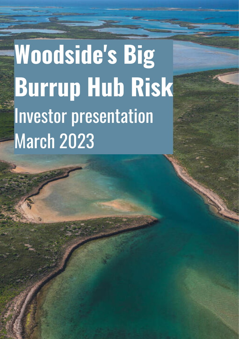 Woodsides Big Burrup Hub Risk Investor presentation March 2023