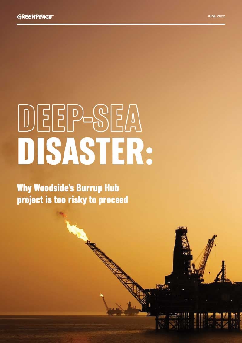 Greenpeace-Woodside-report-deep-sea-disaster