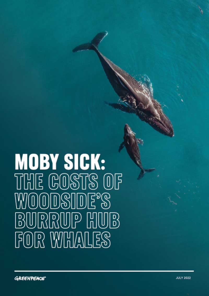 Greenpeace-Woodside-report-moby-sick