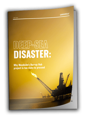 Woodside-Deep-Sea-Disaster-Report-Edited
