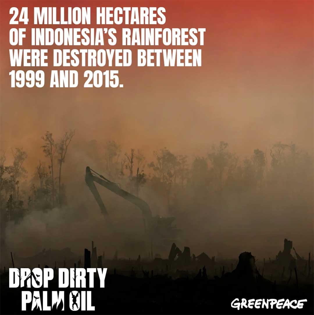 Greenpeace-Drop-Dirty-Palm-Oil
