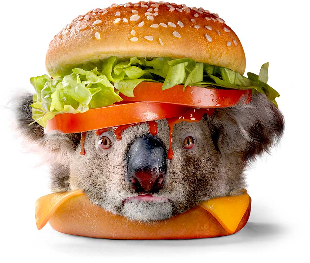 McDonalds Koala Pounder Burger