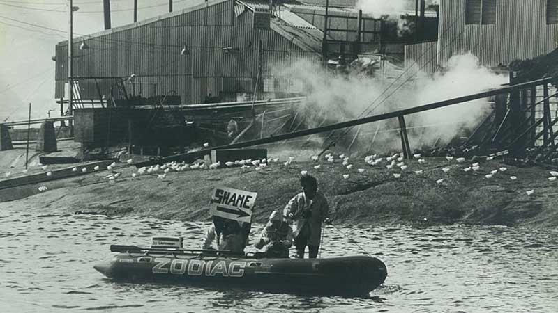 1977 protests outside the last whaling station in Australia in Albany, Western Australia